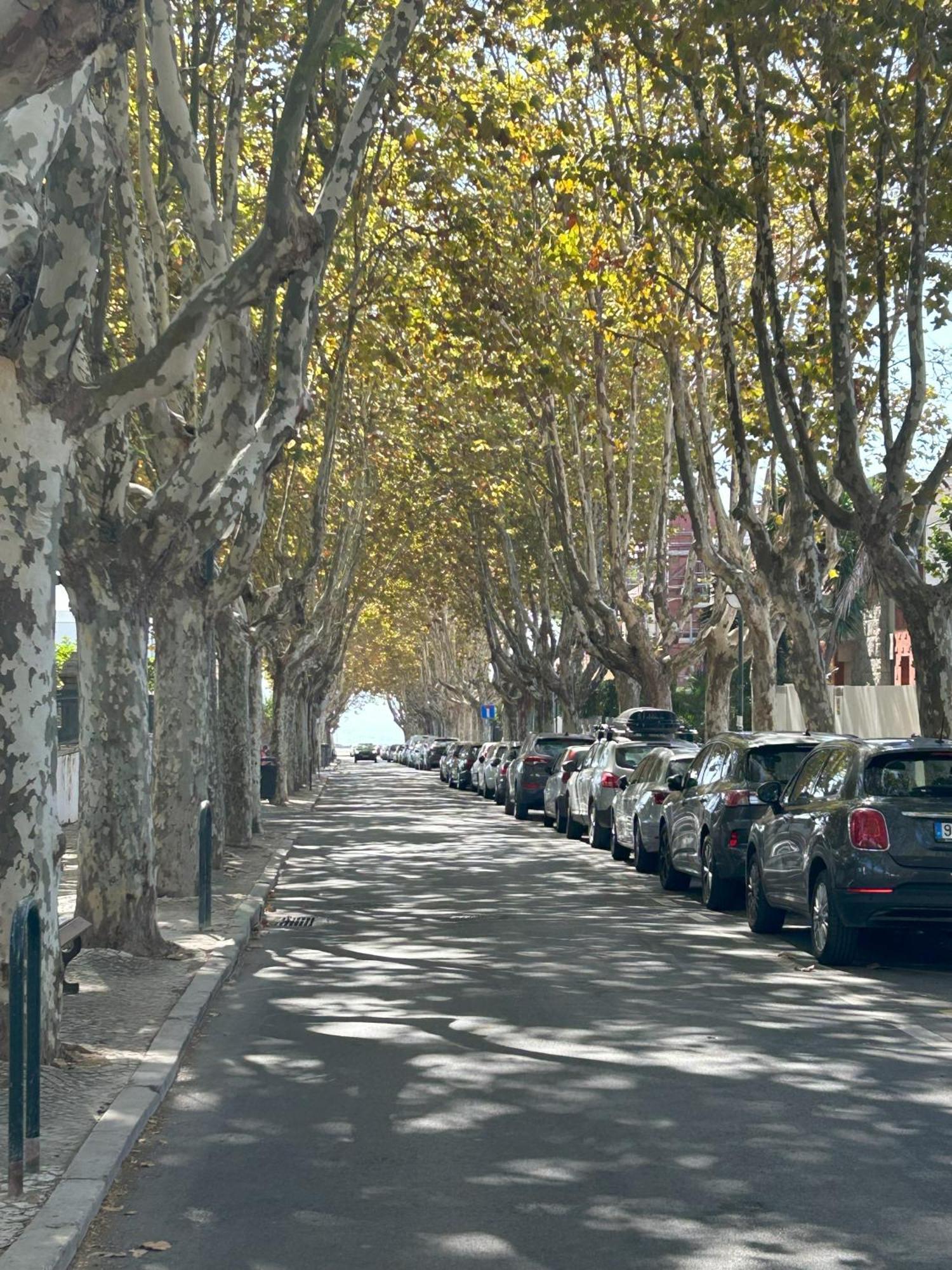 Mar Verde - Parede-Cascais Zewnętrze zdjęcie